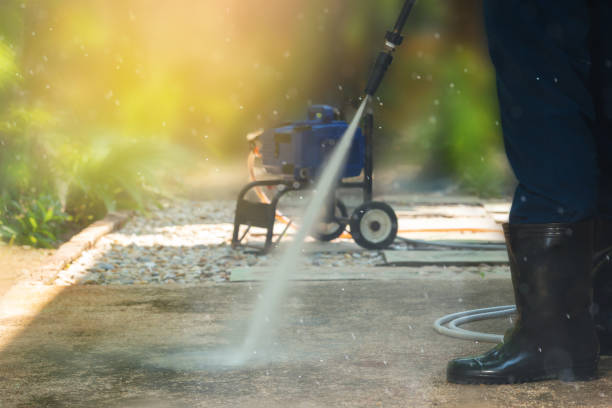 Best Sidewalk and Walkway Cleaning  in Monongah, WV